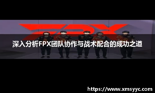 深入分析FPX团队协作与战术配合的成功之道